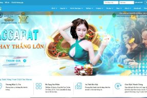 Nhà cái VN969 – MACAO969 có thực sự lừa đảo không?