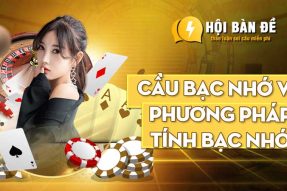 Cầu bạc nhớ và phương pháp tính bạc nhớ dành cho tân thủ