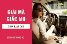 Nằm mơ thấy lái xe hơi – Điềm báo tốt hay xấu? Hướng dẫn chi tiết