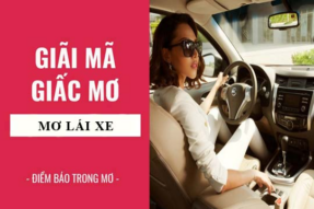 Nằm mơ thấy lái xe hơi – Điềm báo tốt hay xấu? Hướng dẫn chi tiết